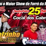 nelzinho-teclados-pisada-dos-mulekes
