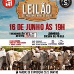 leilao dos produtores rurais grajau