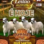 leilao dos produtores expoagra 2022