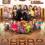 festival do abacaxi sao domingos do maranhao