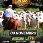 leilao ascigra